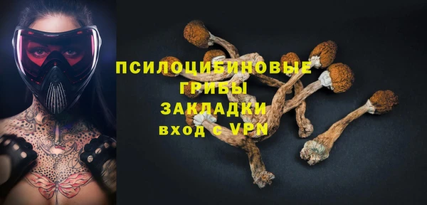 винт Касимов