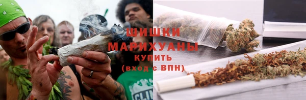 винт Касимов