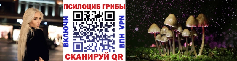 Псилоцибиновые грибы GOLDEN TEACHER Урень